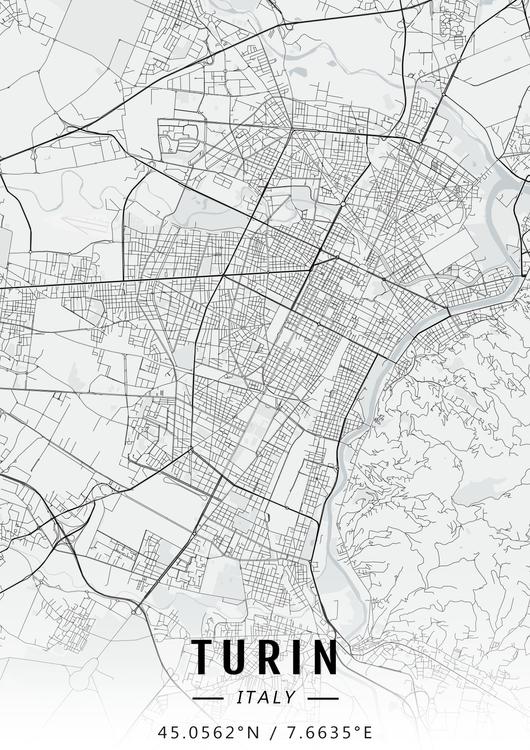 Turin map