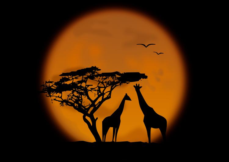 African sunset