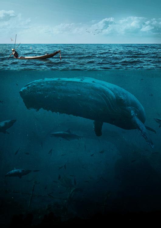 The Big Whale