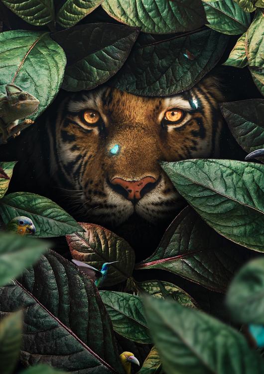 Tiger in Leaves