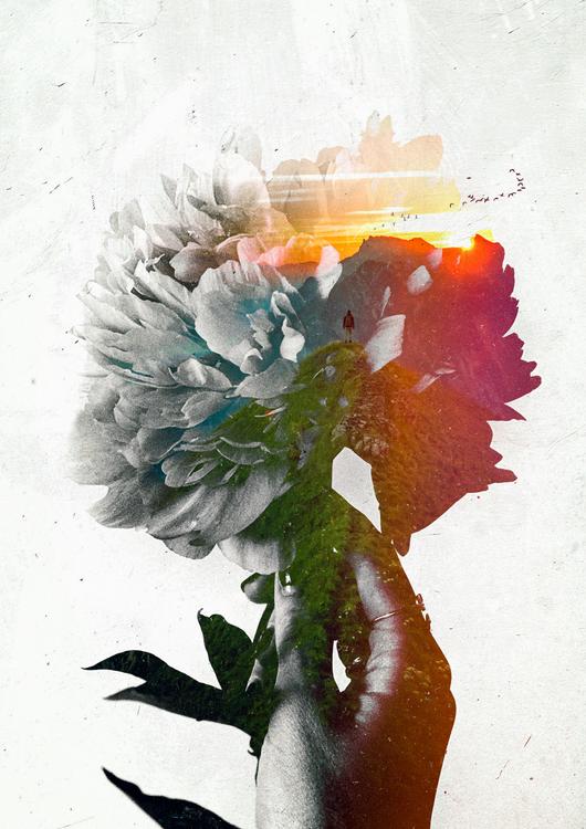 Memory within a dream