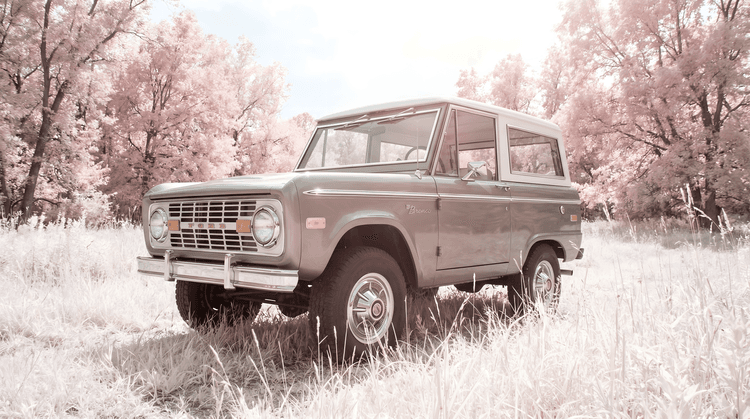 Infrared Bronco: A Dream in Sage and Pink