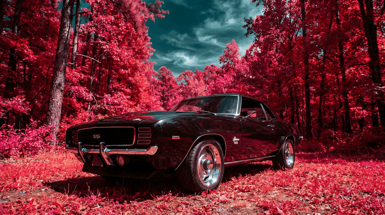 Infrared Muscle: 1969 Camaro SS in Crimson Forest