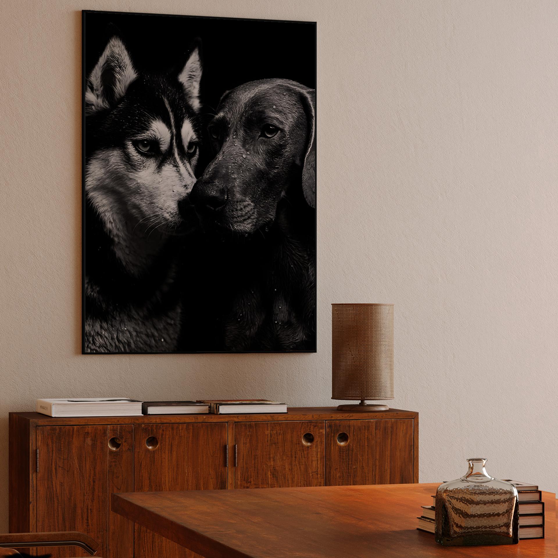 Rain Soaked Canine Companions