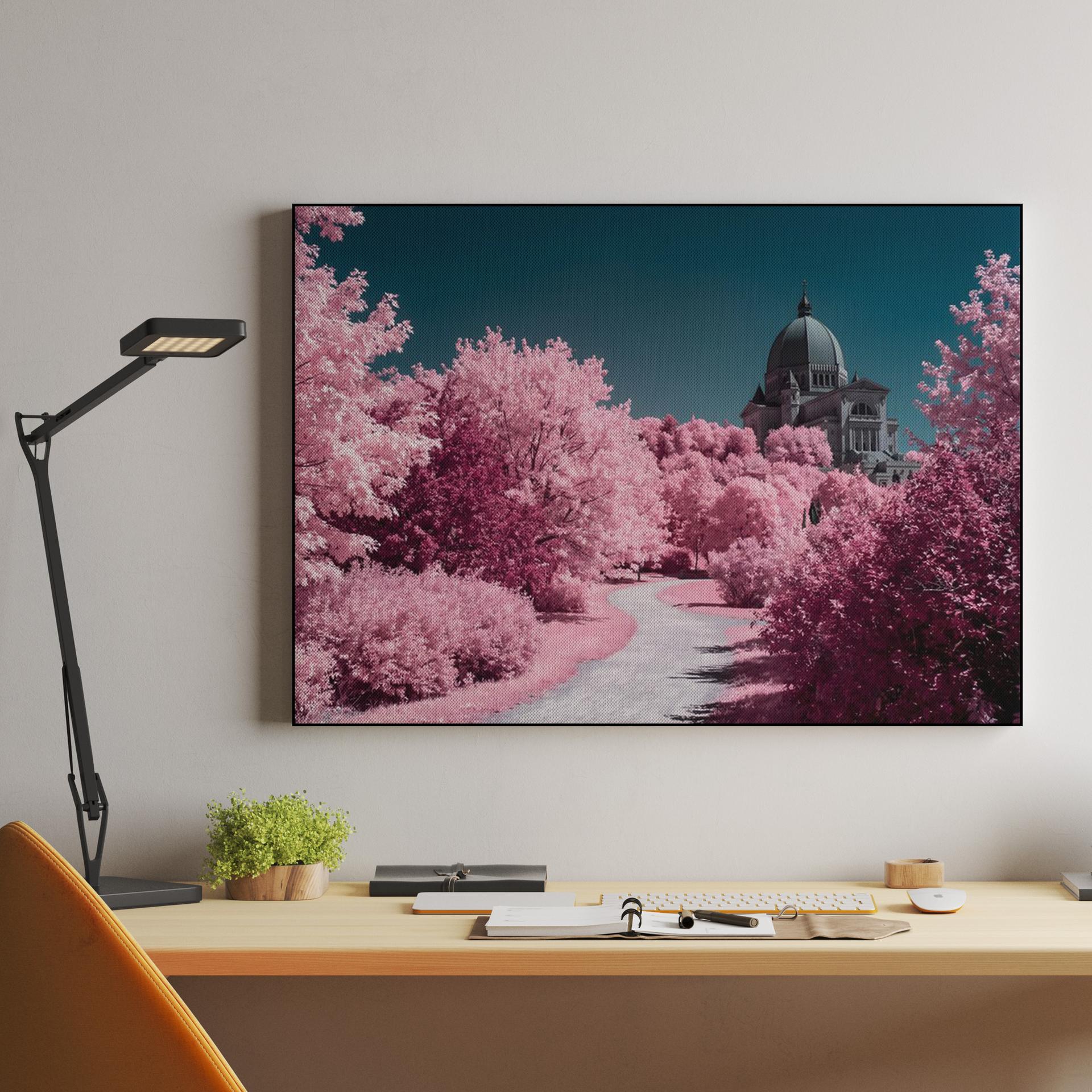 Montreal Infrared: St. Joseph's Oratory