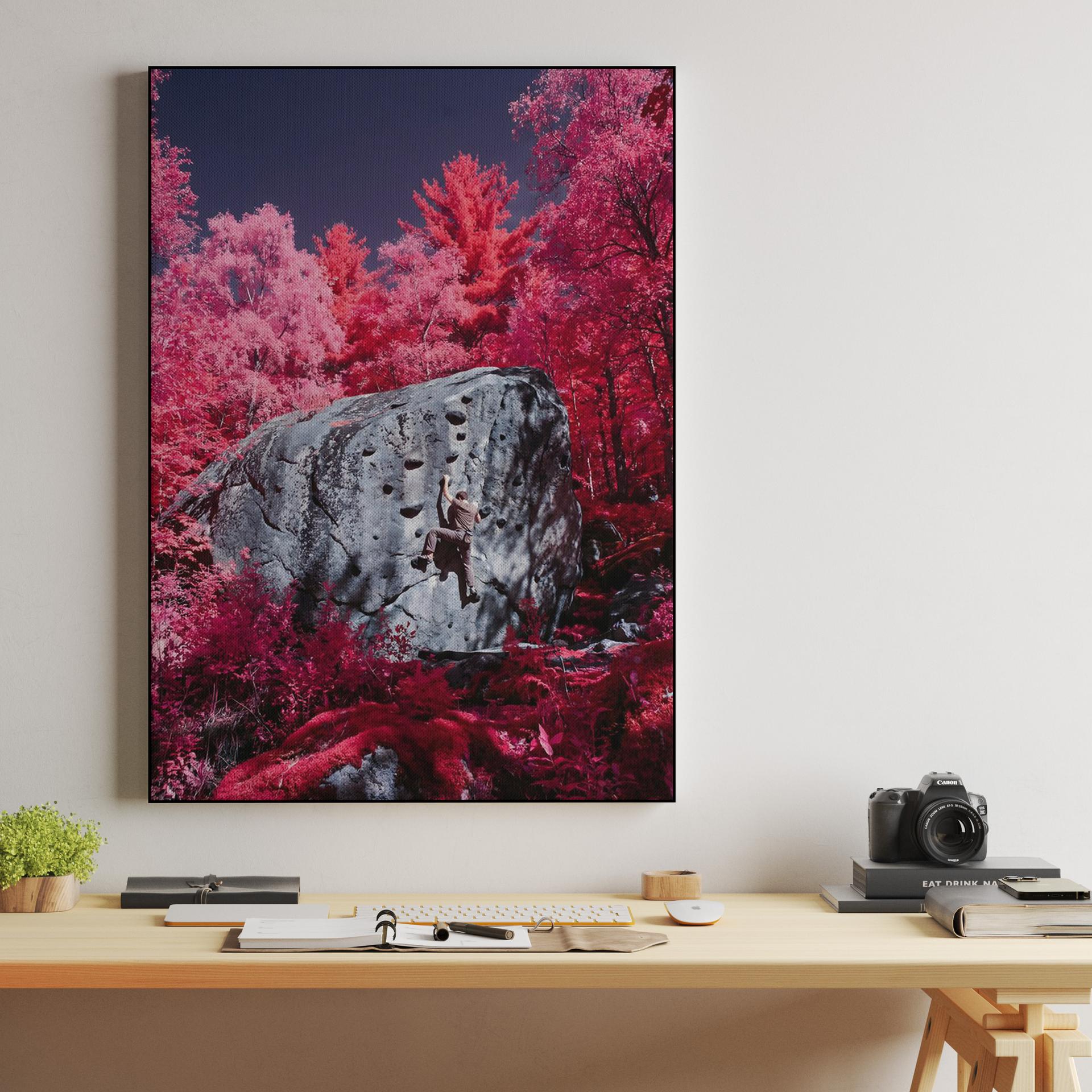 Magenta Ascent: Surreal Infrared Bouldering