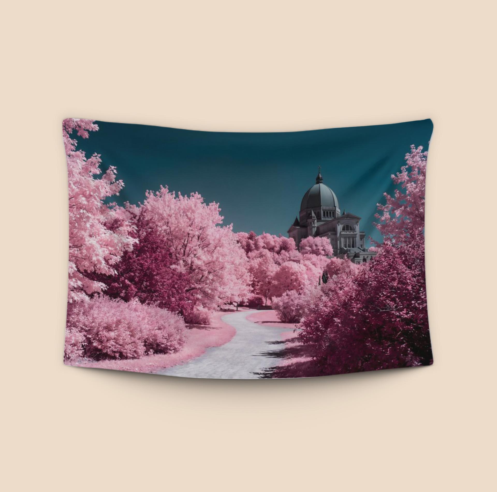 Montreal Infrared: St. Joseph's Oratory