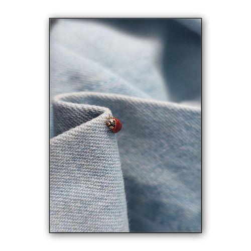 Ladybug wall art poster