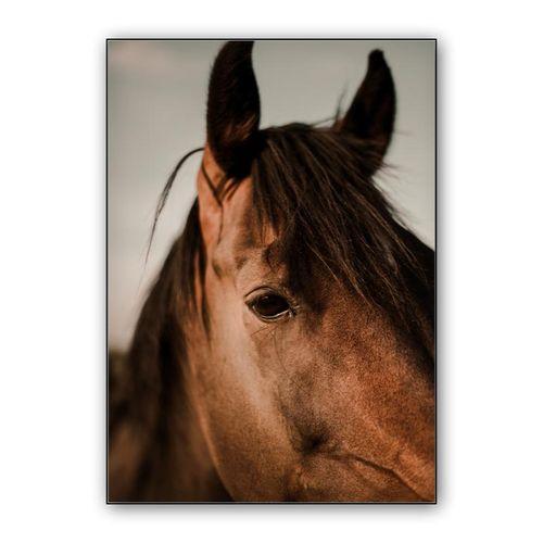 Horse wall art poster