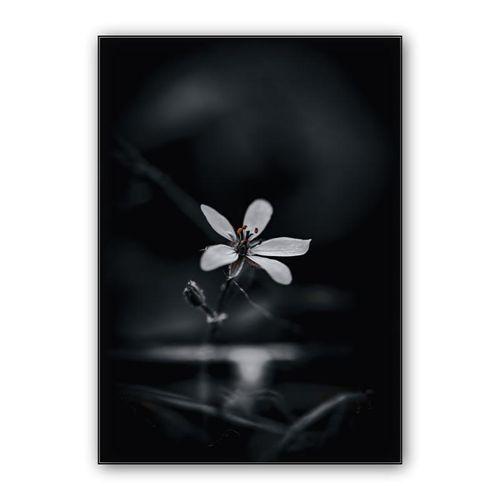 Blütenzauber wall art poster