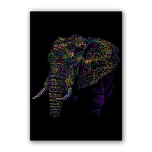 Elephant colorful wall art poster