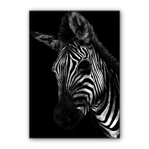 Zebra wall art poster