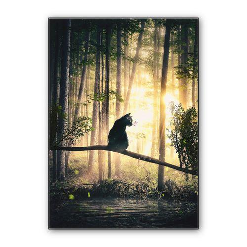 Cat, Sun and Forest wall art poster
