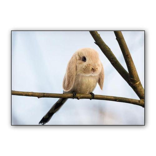 Burb wall art poster