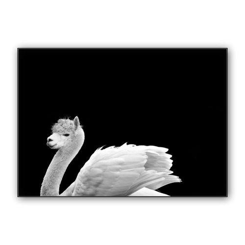 Swama wall art poster