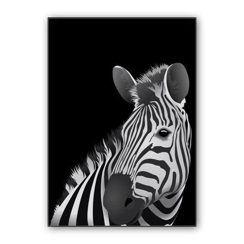Zebra - black background wall art poster