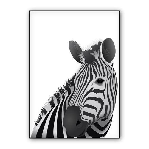 Zebra - white background wall art poster