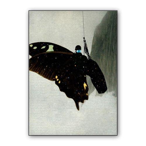 Butterfly wall art poster