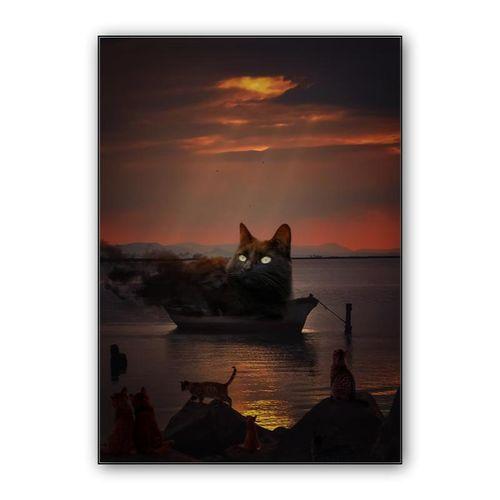 The land of cats wall art poster