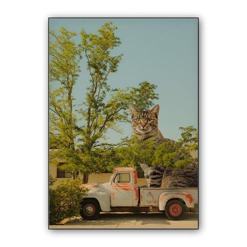 Summer and cat wall art poster