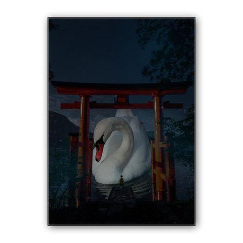 Wish wall art poster