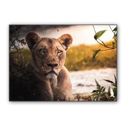 Wounded Lion wall art poster