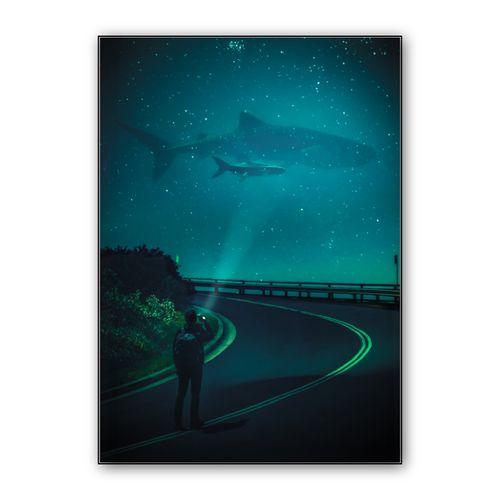 Shark in the Sky wall art poster