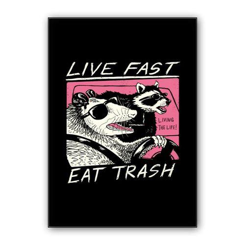 Live Fast, Eat Trash wall art poster