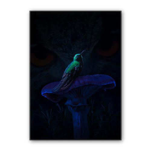 Hummingbird Mushroom wall art poster