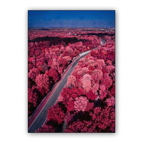 Crimson Speed: Surreal Infrared Monza wall art poster