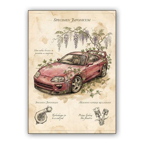 Specimen Japonicum: Reclaimed Supra Illustration wall art poster