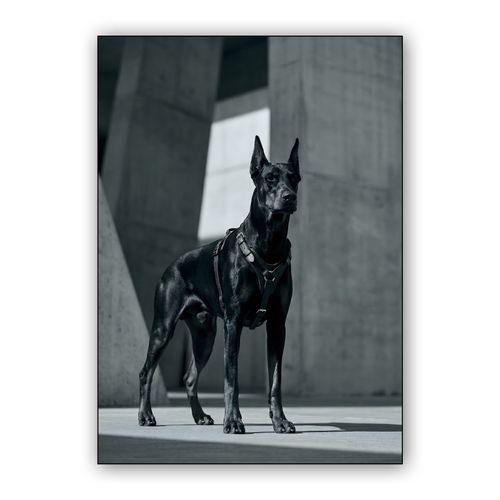 Brutalist Guardian: The Doberman wall art poster