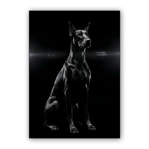 The Noble Shadow: Doberman Cinematic Portrait wall art poster