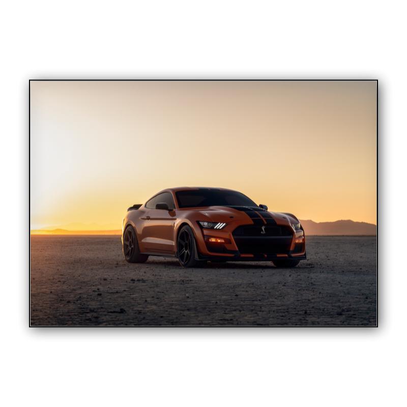 Ford Mustang Shelby GT500