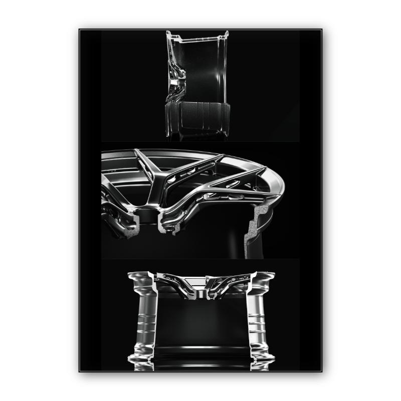 BBS FI-R Cutaway ( Potrait 1 )