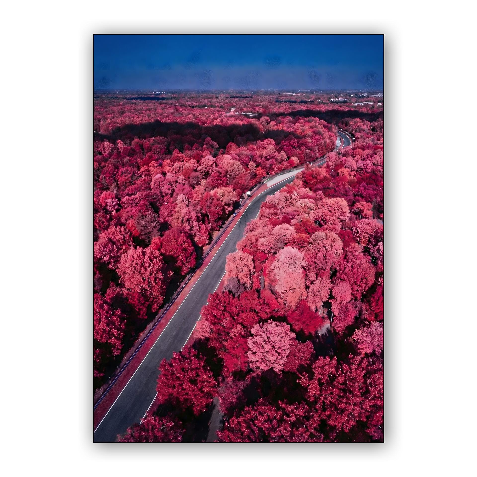 Crimson Speed: Surreal Infrared Monza
