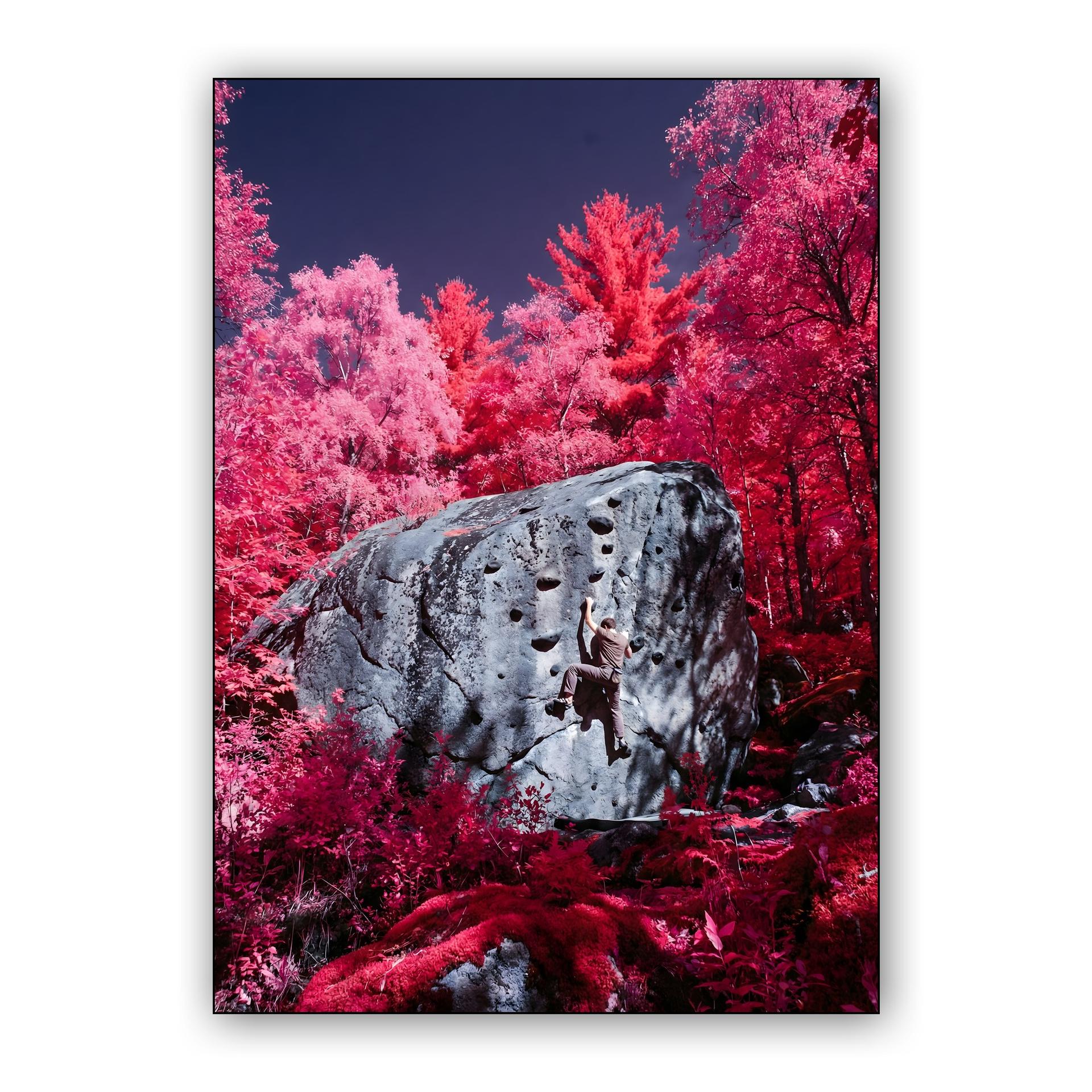 Magenta Ascent: Surreal Infrared Bouldering