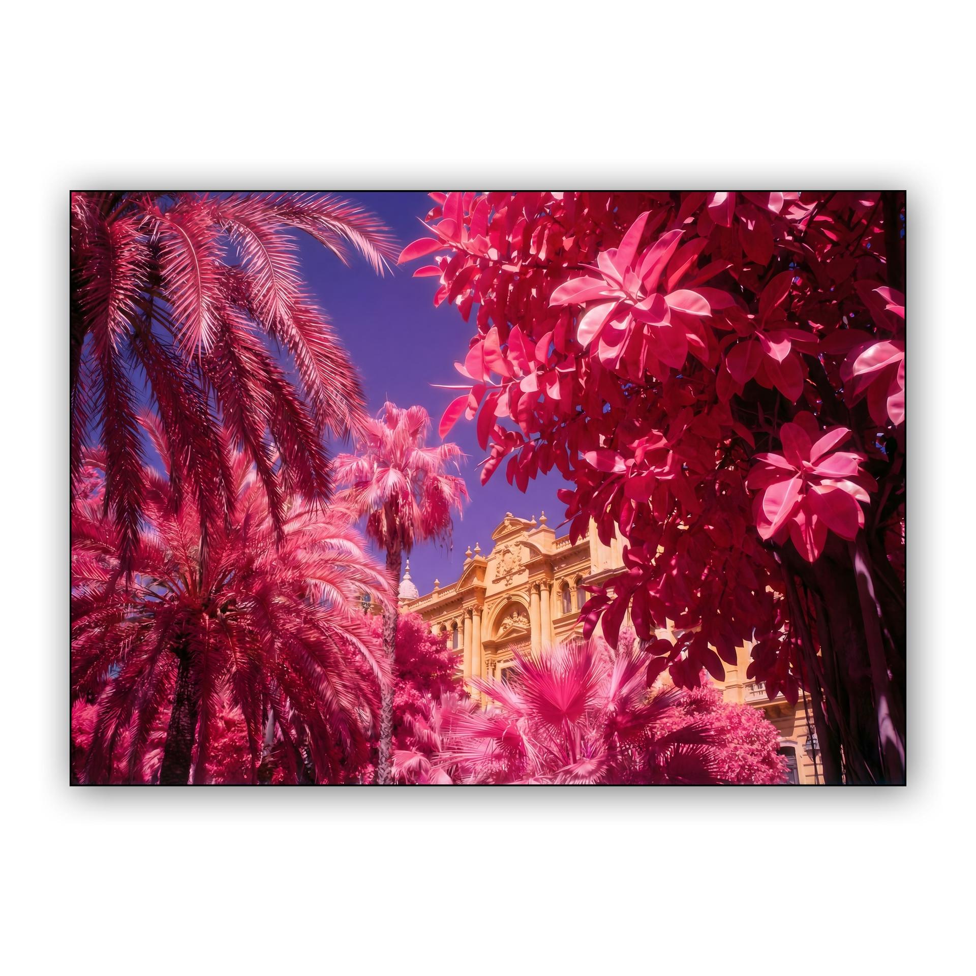 Magenta Palms: Infrared Málaga City Hall
