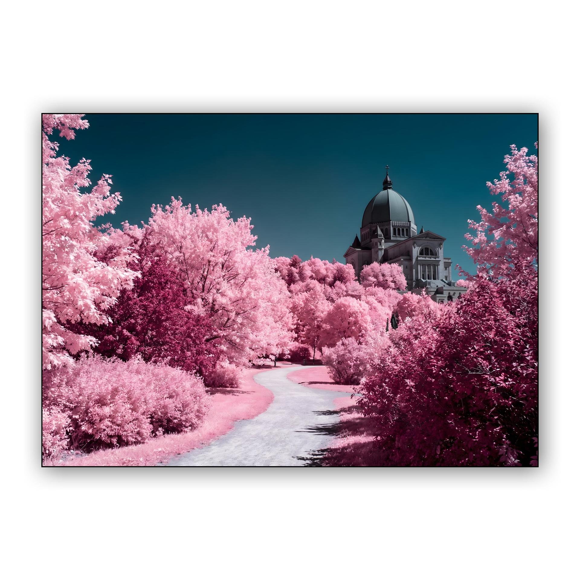 Montreal Infrared: St. Joseph's Oratory